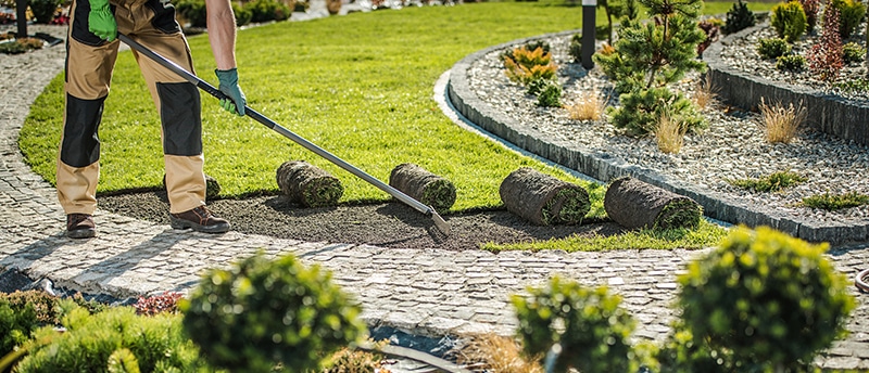 Things to Consider When Hiring a Business Landscaper